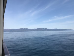 DDEE33EE-E6D2-4A5A-B363-4071508EACFE