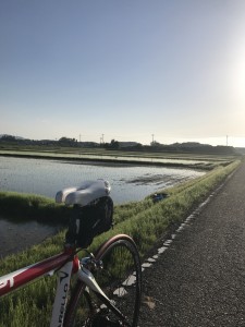 久々の自転車