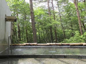 13f7a6c4869ecfeee56ced2bd8ca51fc-1