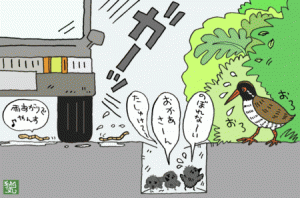 ヤンバル側溝地獄