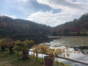 1F077DA2-6C0C-4A27-92E3-A5416A51537D