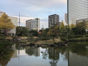 F4ABEA1F-C28E-4B2F-86AE-520AA8CFB05A