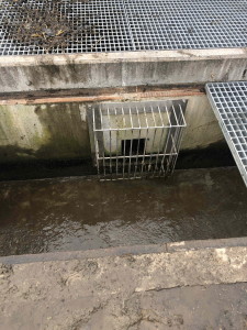 18C43959-93A2-48DD-A6EC-165C86AE2305